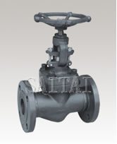 Forged Steel Bolted Bonnet Globe Valves, flanged