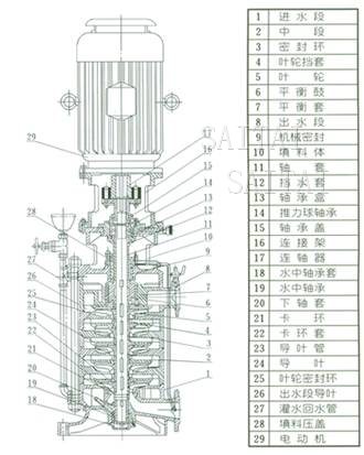 DL、DLR多级泵结构图片