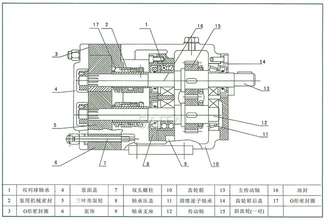 LQ3A型不锈钢转子泵结构图